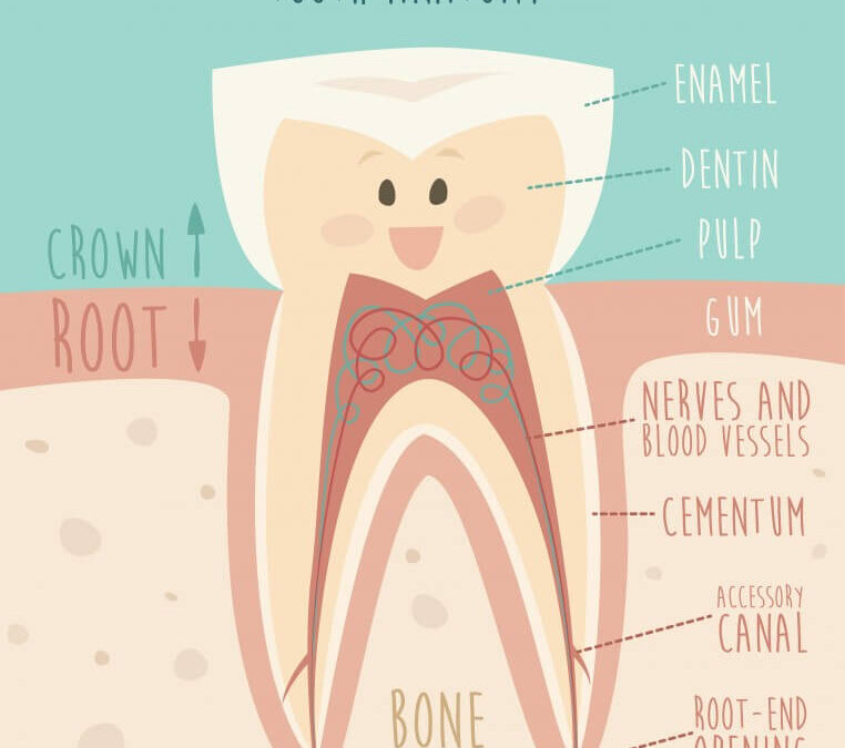 Root Canal Treatment: Below the Surface